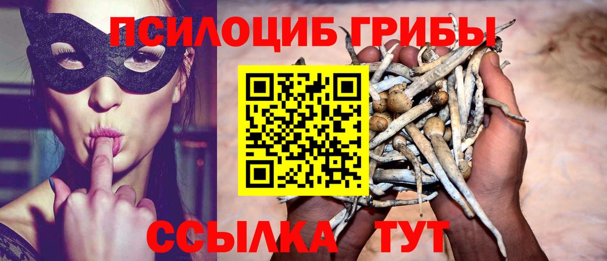 Псилоцибиновые грибы мухоморы  Вход с VPN  Ессентуки 