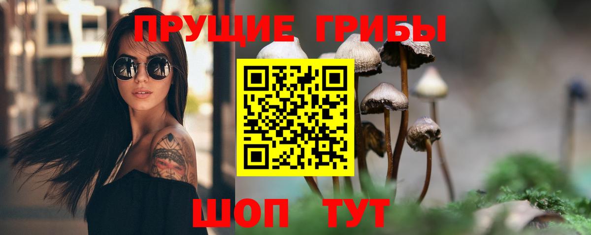 Псилоцибиновые грибы Cubensis Ессентуки
